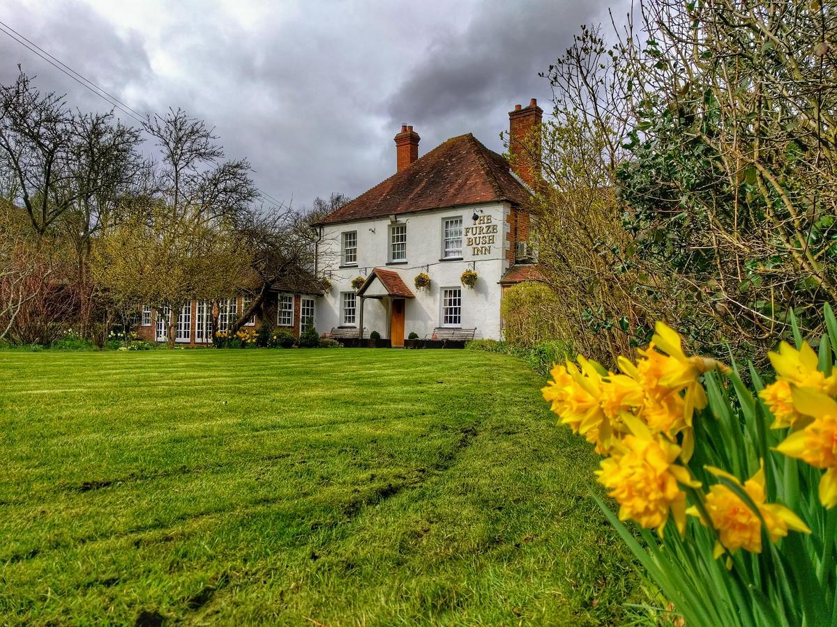 The Furze Bush Inn Newbury  Exteriör bild